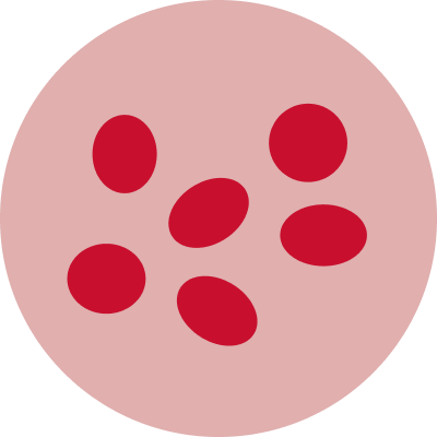 blood urea nitrogen icon