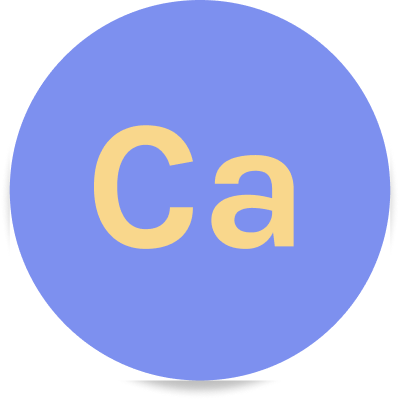 calcium icon