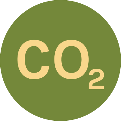 carbon dioxide icon